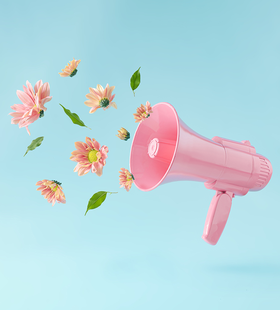 Pink megaphone with colorful summer flowers and green leaves aga